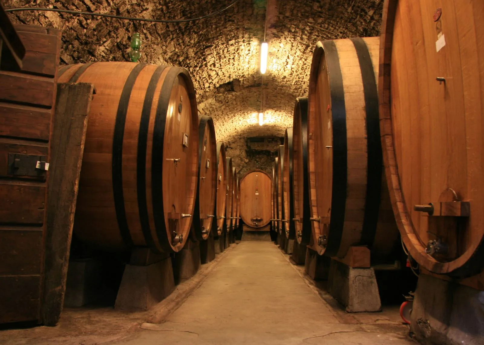 Grandi botti di rovere in una cantina del Chianti, l'Italia del vino regione per regione
